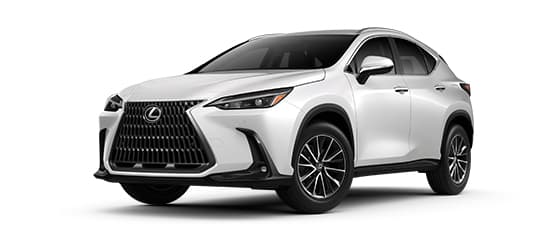 NX 350