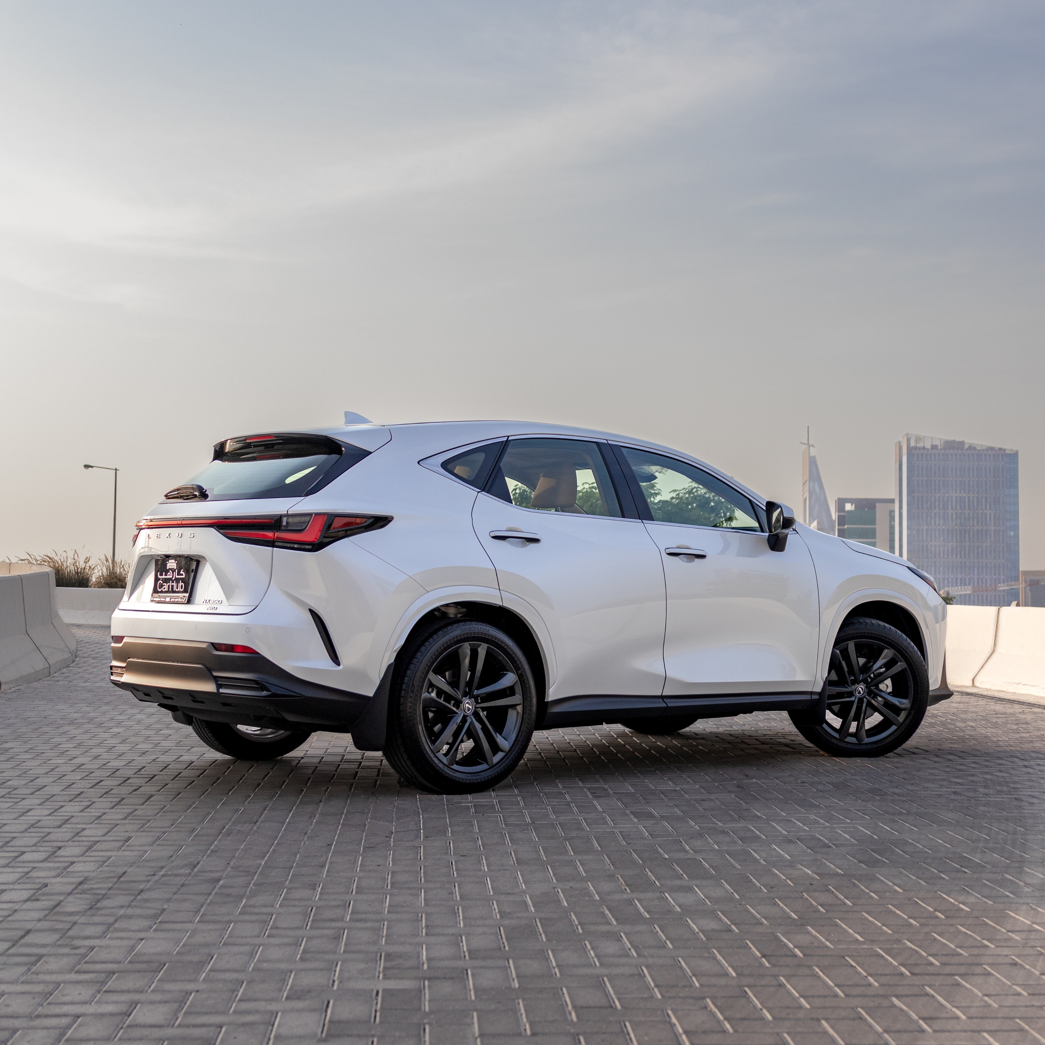 NX 350