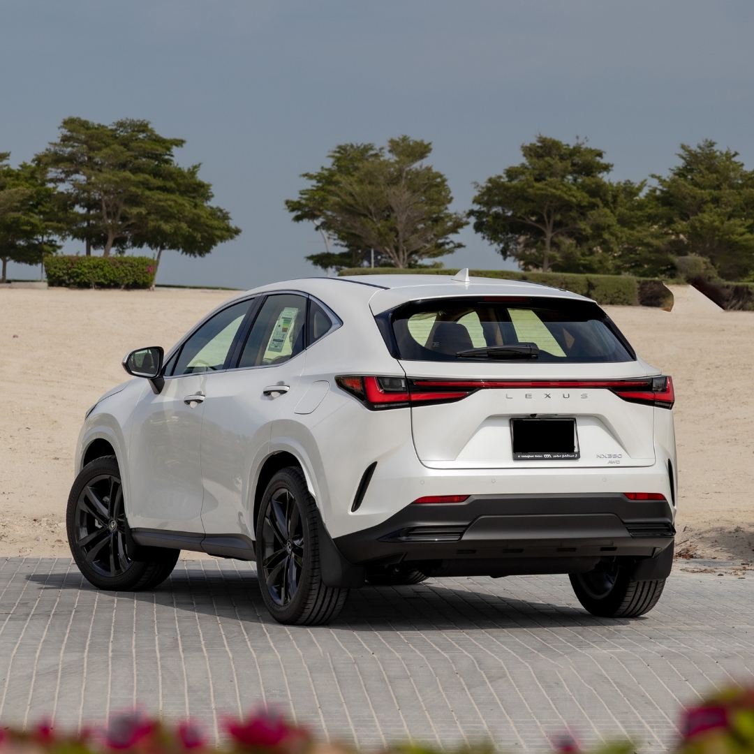 NX 350
